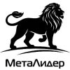 Иконка канала Международная Академия НЛП и Коучинга "МетаЛидер"