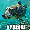 Иконка канала БРДЫЩ ВИДЕО