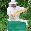 Иконка канала 🐝Пасека с нуля🐝