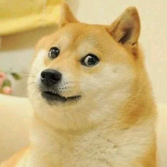 Иконка канала Doge🐶