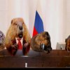 Иконка канала О