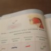 Иконка канала Ахмад Пацан