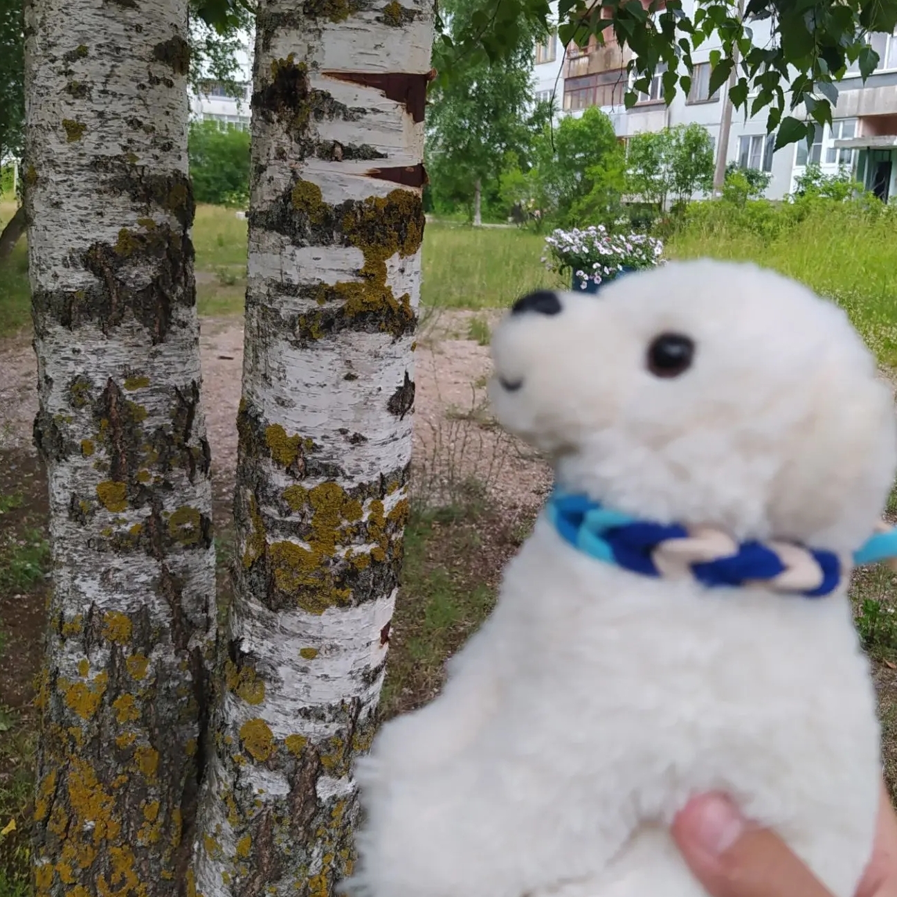 Иконка канала 🌿🌸~My life_PDB_Basiki~🌟🐾