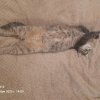 Иконка канала Смотри