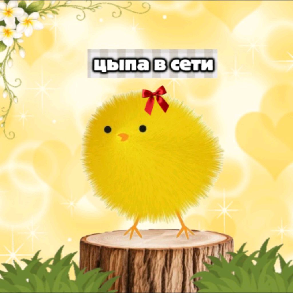 Иконка канала 🖤_цыᴨᴀ ʙ ᴄᴇᴛи_🖤