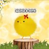 Иконка канала 🖤_цыᴨᴀ ʙ ᴄᴇᴛи_🖤