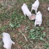 Иконка канала Хорошо Иметь Домик В Деревне