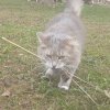 Иконка канала Моя работа и приготовление на дачу.