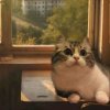 Иконка канала 𝗡𝗲𝘄𝘁𝗿𝗮𝗯0𝘁
