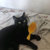Иконка канала Финя