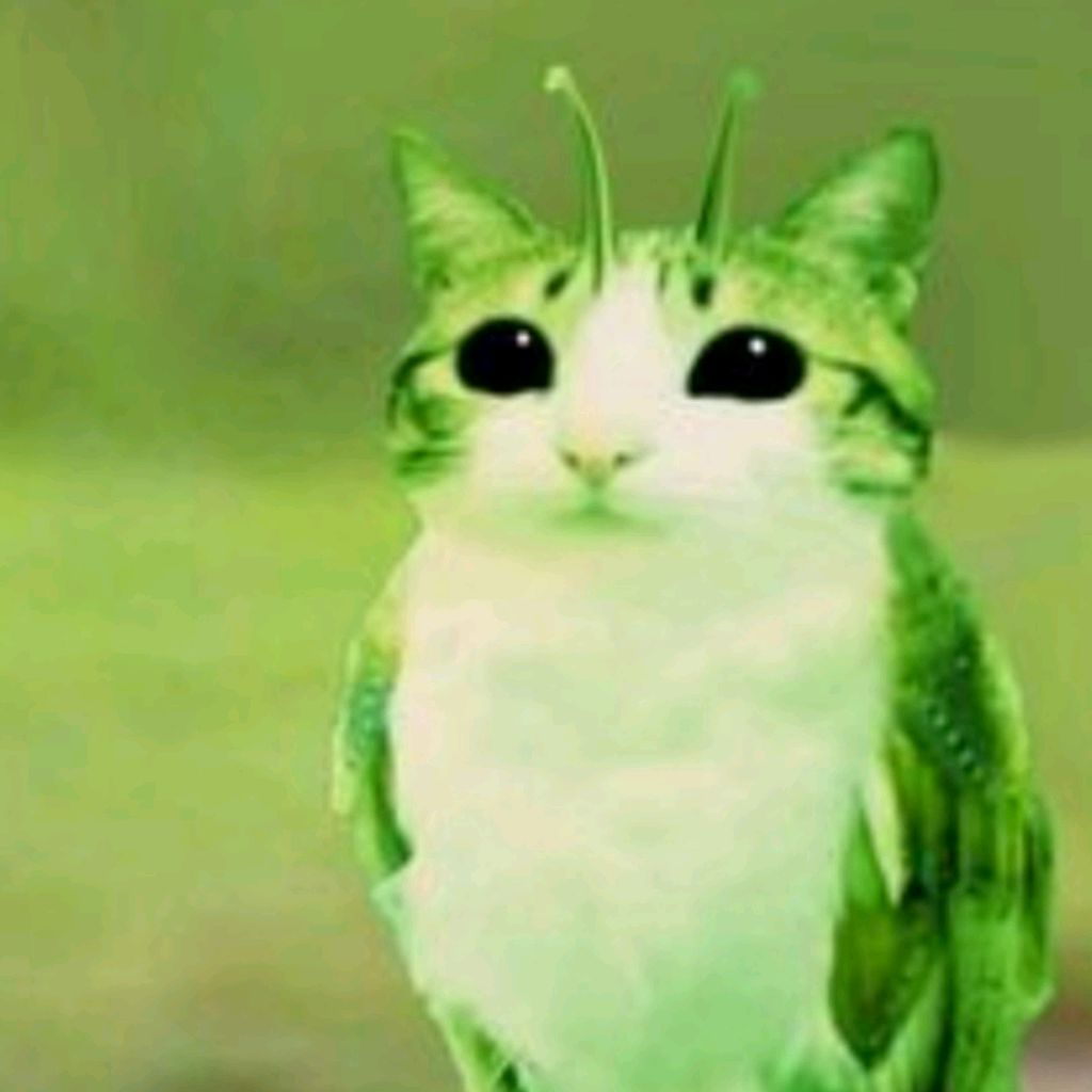 Иконка канала 💚Meowl💚