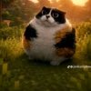 Иконка канала Котость