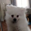 Иконка канала Даня