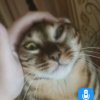 Иконка канала Егор И Кесемка