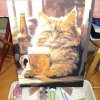 Иконка канала Свинотанк :3:3:3:3 :3