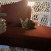 Иконка канала Котик Топ🐱