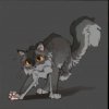 Иконка канала Кот Воитель Крутобок