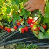 Иконка канала 222Desantnik222