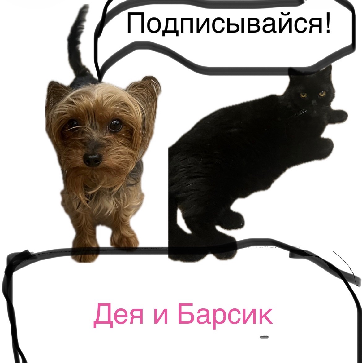 Аватар автора