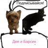 Иконка канала Дея и Барсик