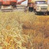 Иконка канала Сельская Новь