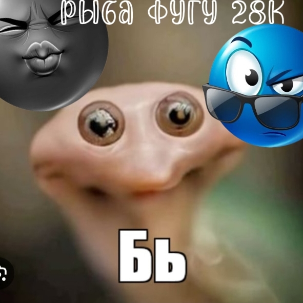 Иконка канала Рыба фугу 28к (вернулся)