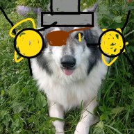 Иконка канала 🐺 Вульф 28 K 🦊