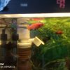 Иконка канала Fish 😀