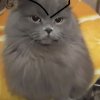 Иконка канала Vinchik