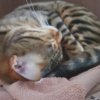 Иконка канала Котя рб