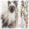 Иконка канала ♡Ꮇíӏɑոɑ࿐