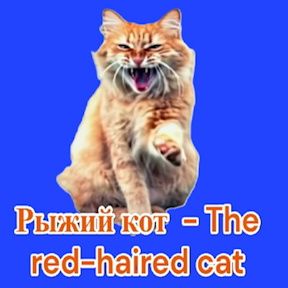 Иконка канала РЫЖИЙ КОТ - The red-haired cat