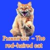 Иконка канала РЫЖИЙ КОТ - The red-haired cat