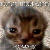 Иконка канала channel79669278