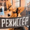 Иконка канала Barking Bad. Саша Зайцева и  Шелдон
