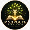 Иконка канала МДК