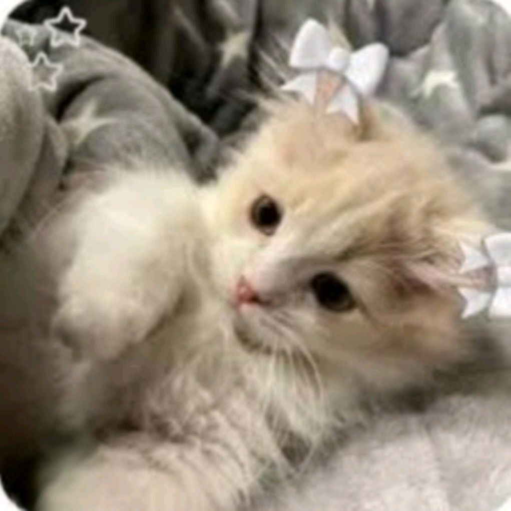 Иконка канала ✨🧸 Katya✨🧸