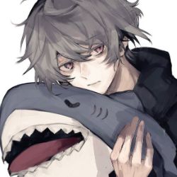 Иконка канала SW Shark