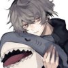 Иконка канала SW Shark
