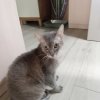 Иконка канала Руслан