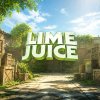 Иконка канала L1me_Ju1ce