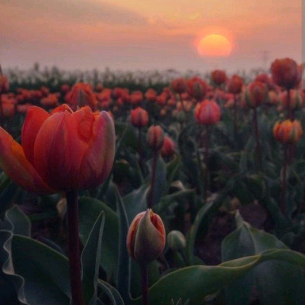 Иконка канала ~Анюта 💝💐~