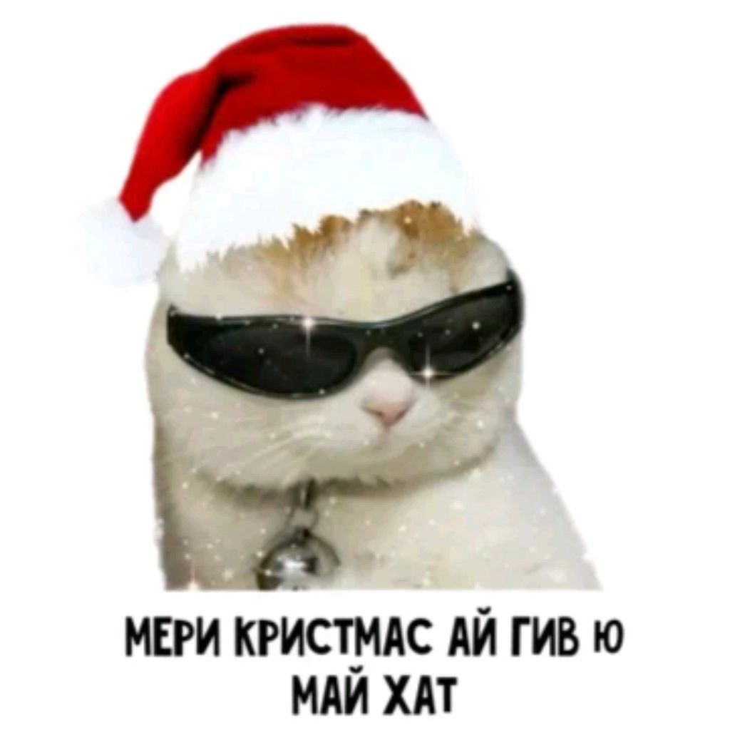 Иконка канала .БЕШЕННЫЙ_КОТ.