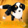 Иконка канала 🧡°^ХАУС ПДБ^°💛