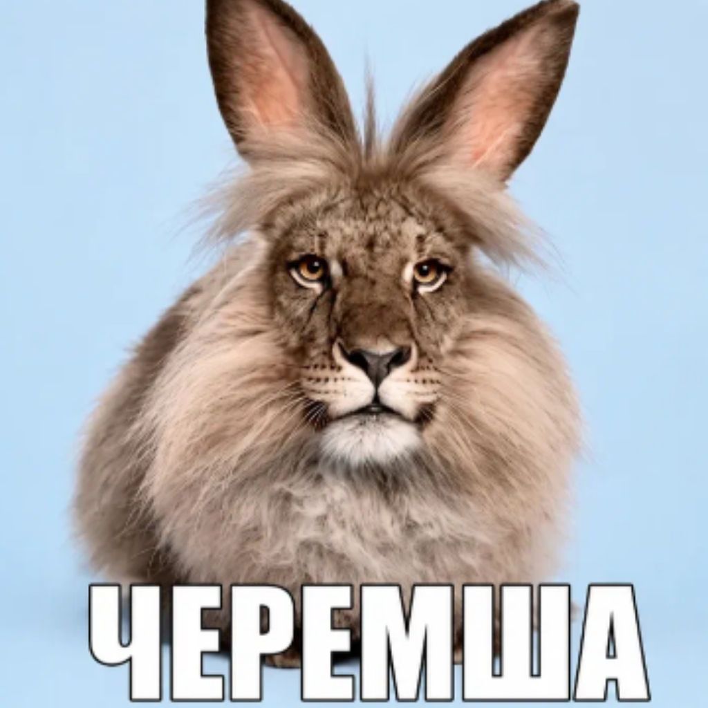 Иконка канала черемша