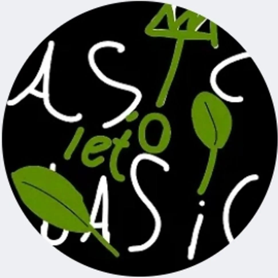 Иконка канала ЛЕТНИЙ⛏️Asic Basic