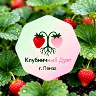 Иконка канала Клубничный дуэт: саженцы клубники г. Пенза
