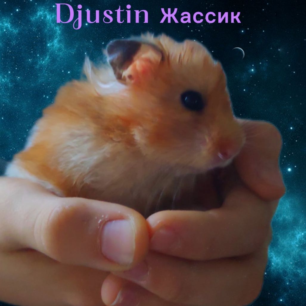 Иконка канала Djustin Жассик
