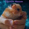 Иконка канала Djustin Жассик
