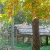 Иконка канала Идите Погуляйте